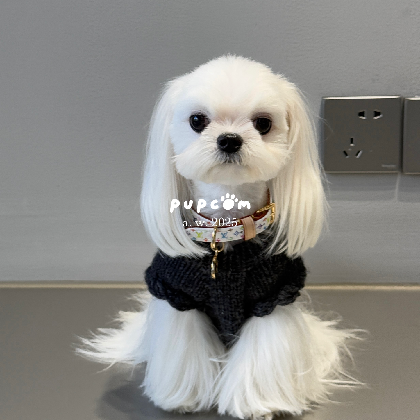 ほしあみ × 英国ブランド Pupcom コラボ 犬服 「Black x pink リボン」 手編みニット ハンドメイド ペット服 冬用 ギフト向け