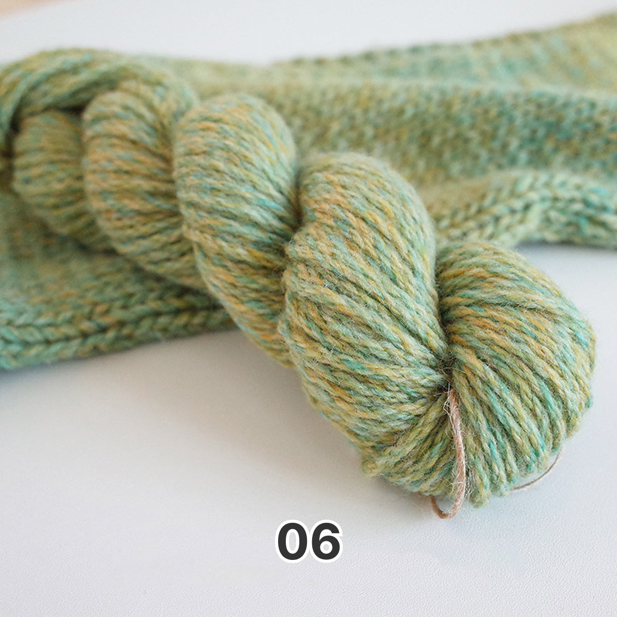 Suisai Wool（水彩ウール） ウール毛糸 カラー：06