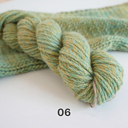 Suisai Wool（水彩ウール） ウール毛糸 カラー：06