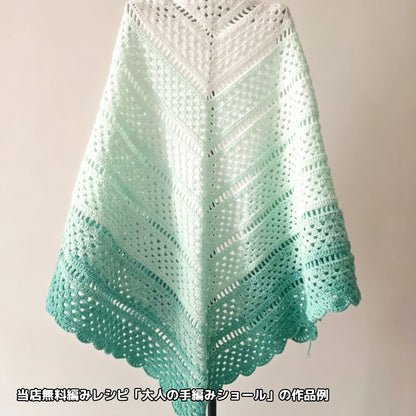 【シルケット加工・綿100%】Joyful Cake Yarn（ジョイフルケーキヤーン）300g｜ロングピッチ段染め・韓国風｜夏用ウェア・ショール・ブランケットに最適｜全36色｜電子版 ショール編みレシピ プレゼント！