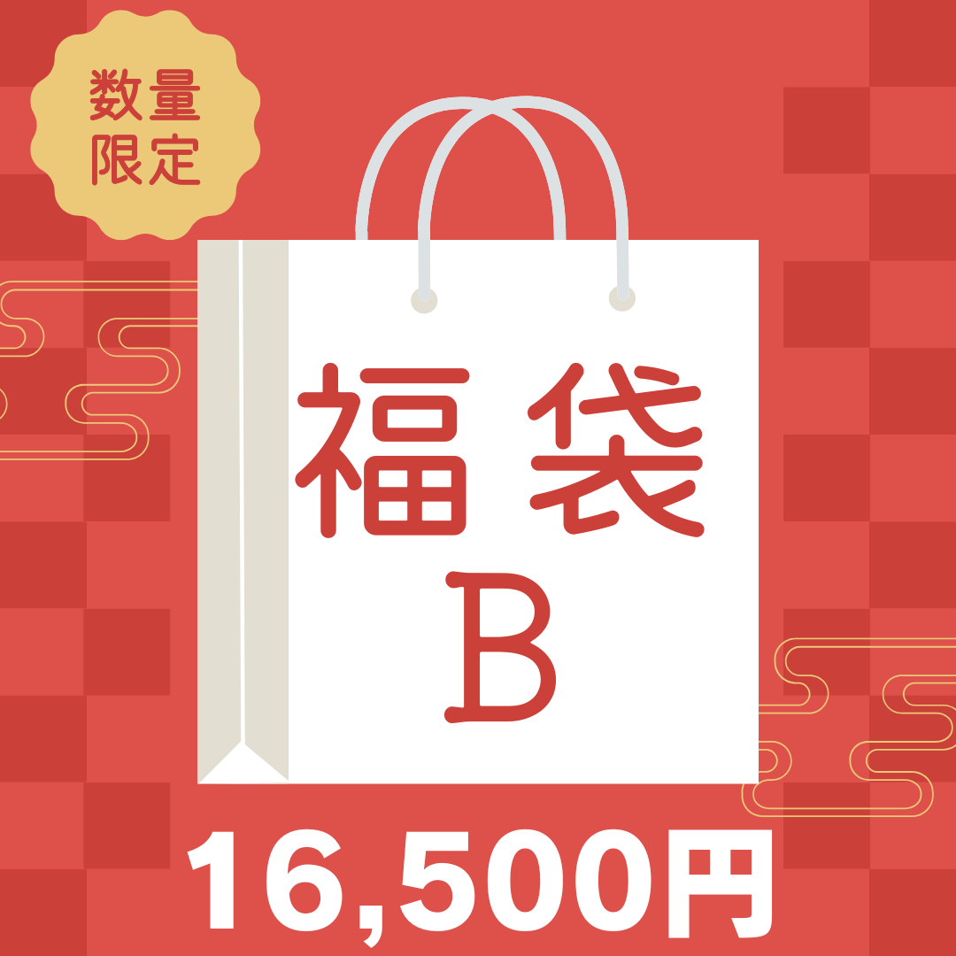 予約販売【福袋 B】  人気No.1 大判サイズ花束キット＋福袋限定！ヨーロッパ風大玉糸1玉＋ロングファーヤーン2玉必入！人気キット＆毛糸たっぷりお楽しみセット