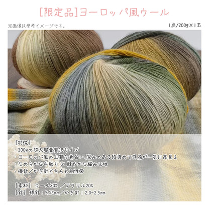 【アトリエ・デラックス】夢の大作制作プレミアムBOX（ポンチョ＆選べる大作入り・豪華8点）｜最大5,384円OFF｜暖色／寒色選択可