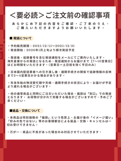 予約販売 福袋D【全14色制覇】【ロングファーヤーン 全14色コンプリート福袋】SNSで話題！段染め極太×14玉